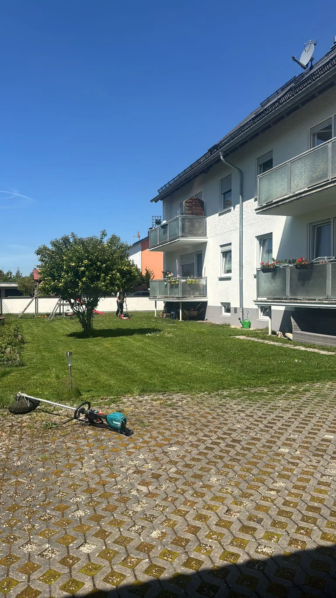 Gartenpflege in München mit gepflegter Rasenfläche