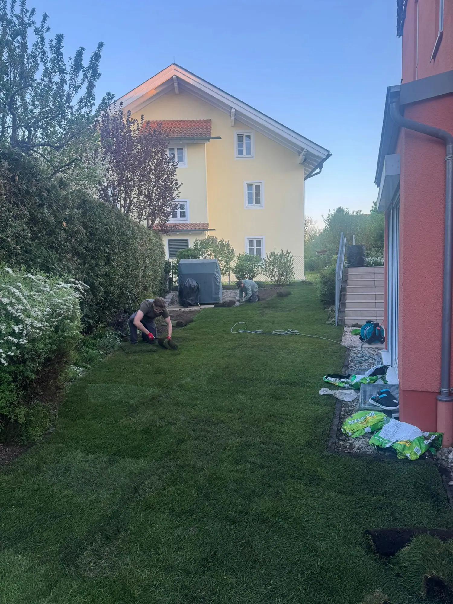 Rollrasen verlegen München im privaten Garten
